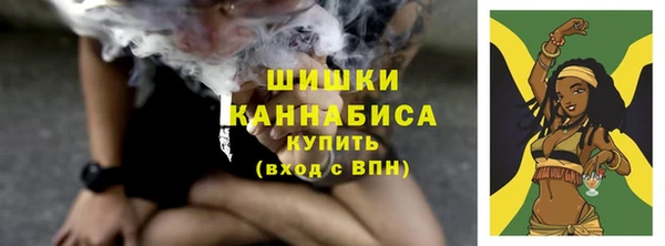 тгк Сатка