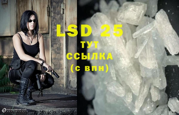 тгк Сатка