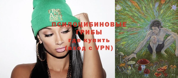 тгк Сатка