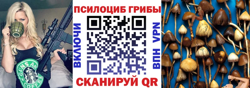 цена наркотик  маркетплейс официальный сайт  Псилоцибиновые грибы Cubensis  Теберда 