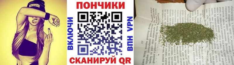 Бошки Шишки планчик  KRAKEN маркетплейс  Теберда  где продают  